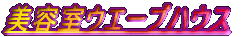 ���e���E�G�[�u�n�E�X
